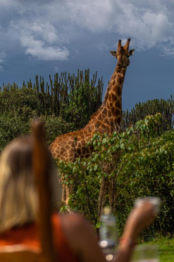 Mbweha Camp Lake Nakuru Elmenteita Exterior photo